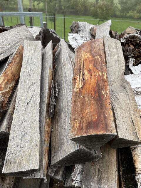 Birke Brennholz Birkenholz