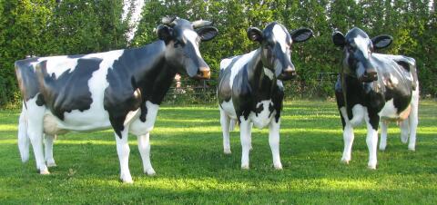 Holstein Friesian 3D Kuh lebensgroß