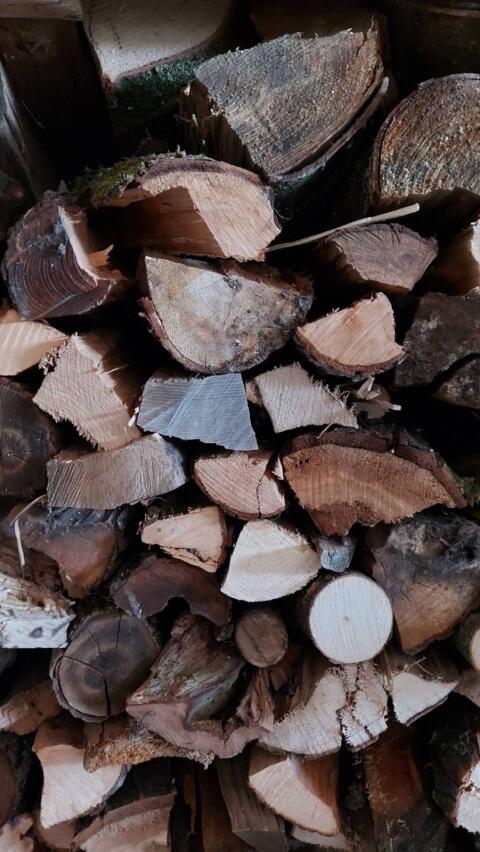 Brennholz hart Esche Buche