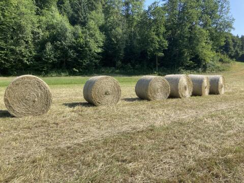Heurundballen