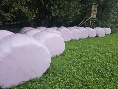 Silageballen