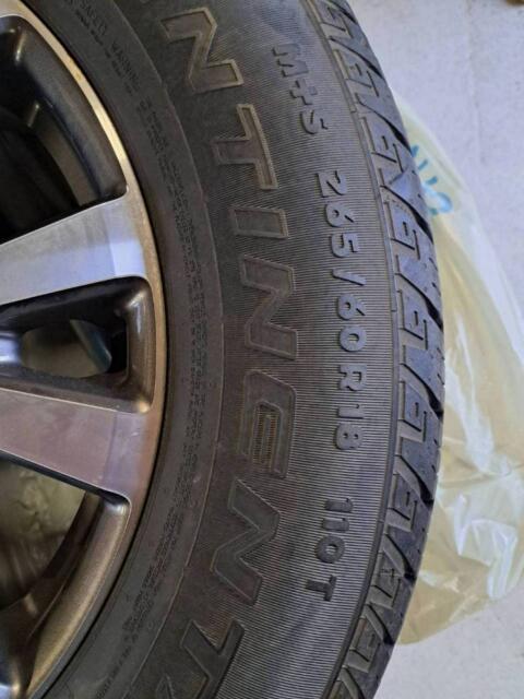 Alufelgen für Wildtrak