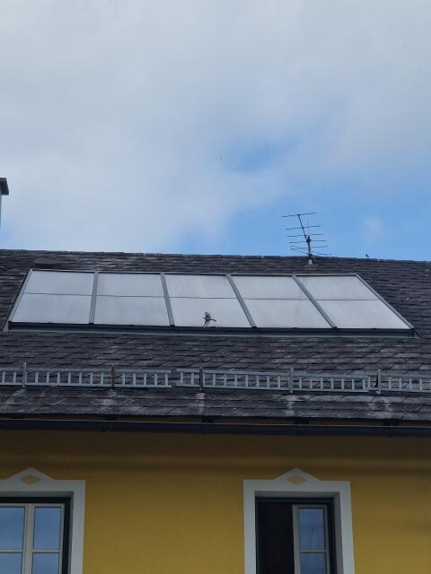 Verkaufe 20 m² Solarpaneele