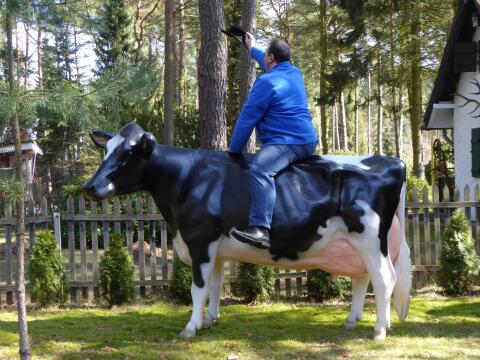 Holstein Friesian 3D Kuh lebensgroß