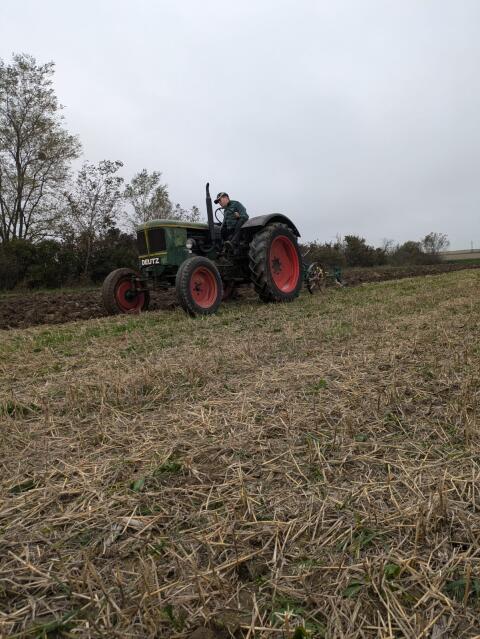 Deutz Oldtimer Traktor 1958 40 PS D40U
