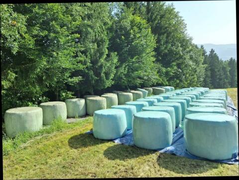 Silageballen 2025