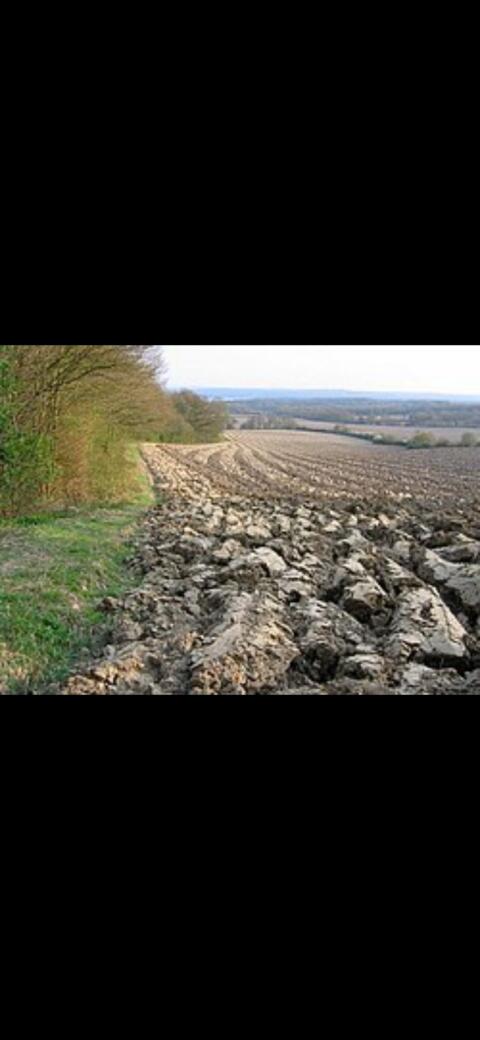 Suche Acker oder Wiese
