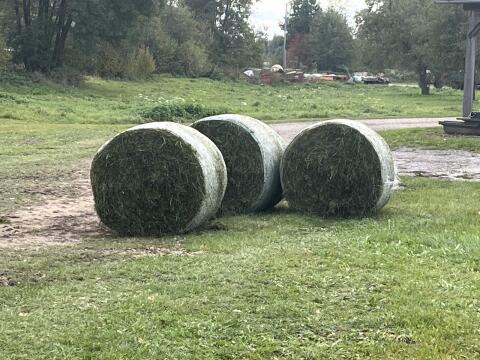 Siloballen