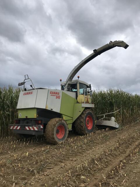 Claas Jaguar 840 Allrad mit RU450 und Pickup 300 HD