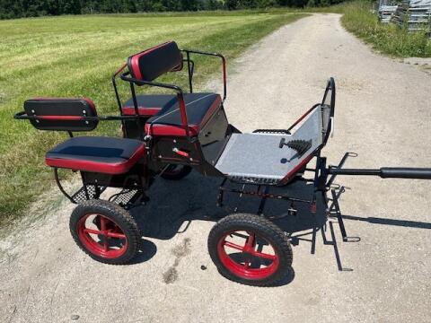 Mini Pony Kutsche Bj. 2025