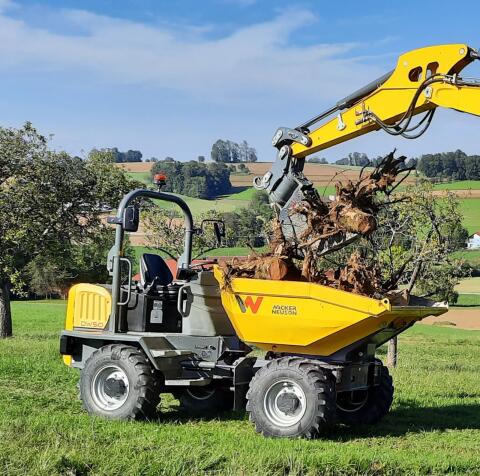 Neuson Dumper DW50