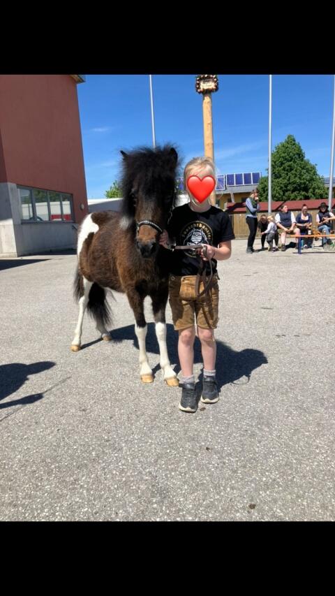 Pony Jährlingsstute