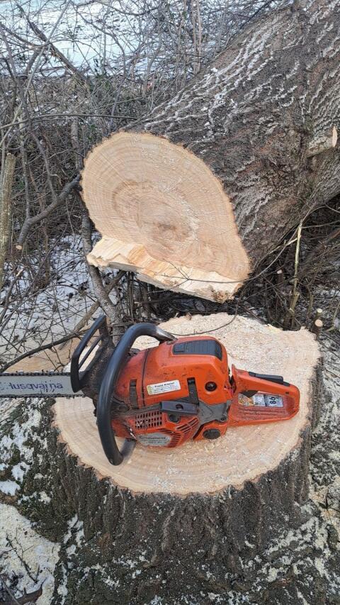 Holzschlägerung u. Rückung