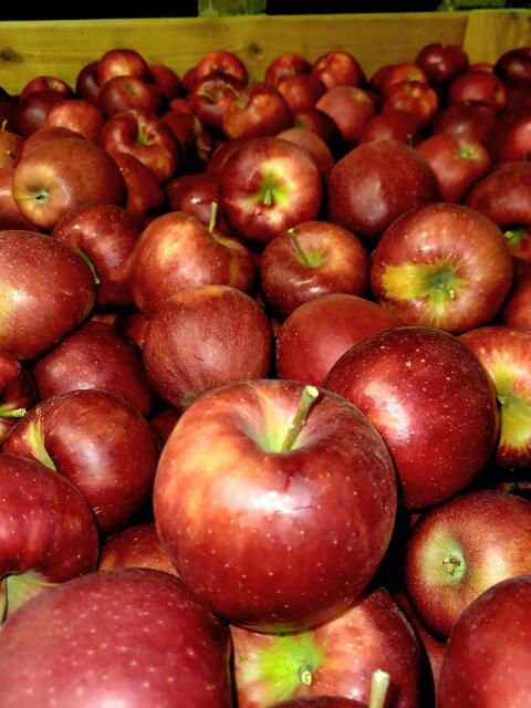 Äpfel