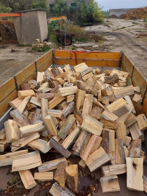 Brennholz