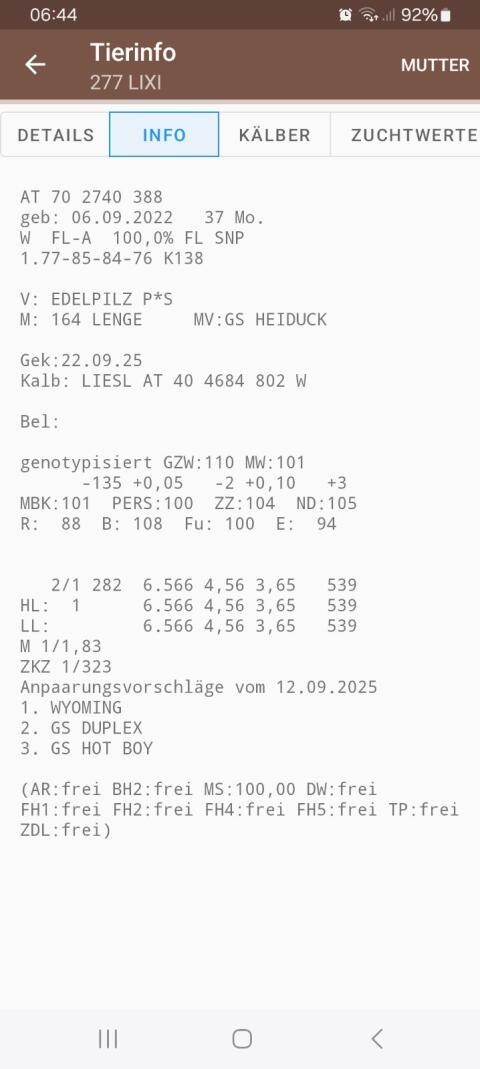 Fleckviehkuh