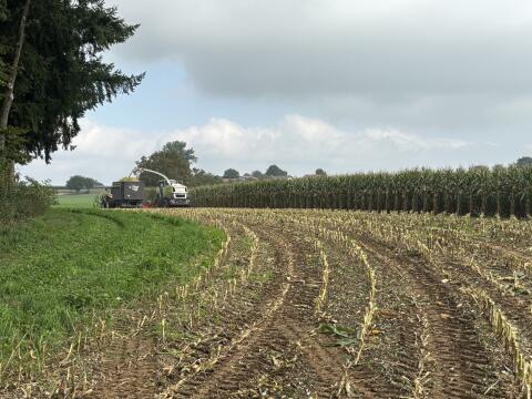 Vogel und Noot Eurocut 280
