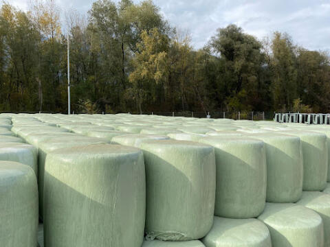 Maisballen Ernte 2025