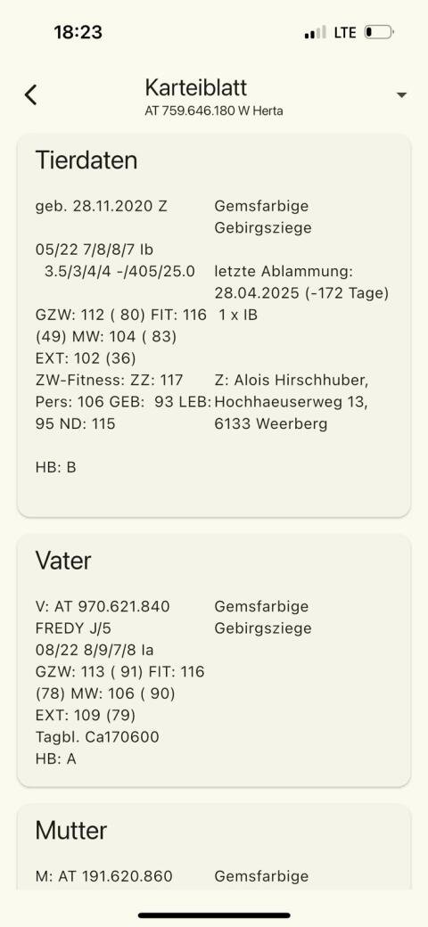 Verkaufe GGZ Ziegen