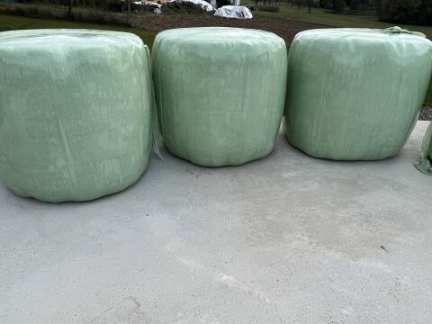 Silageballen