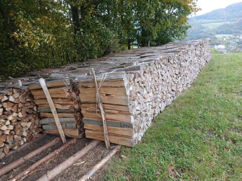 Buchenholz