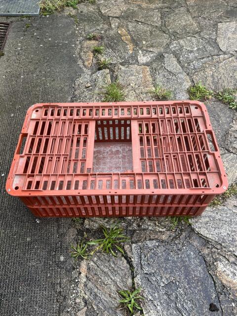 Hühnerkisten