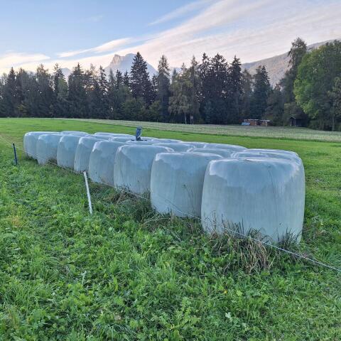 Silageballen