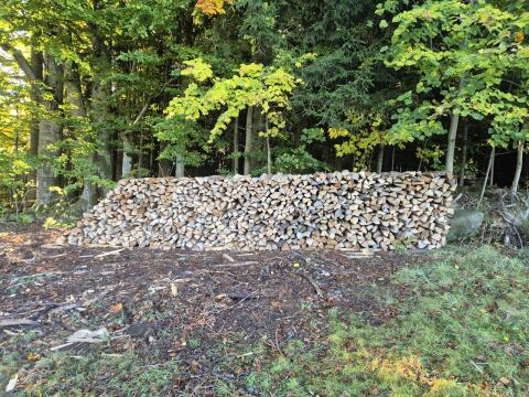 Brennholz Hartholz Esche Erle Buche 11 Ster