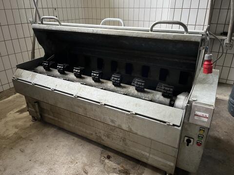 Enthaarungsmaschine für Schweine
