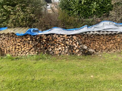 Brennholz