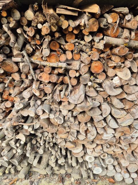 Brennholz