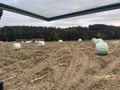 Maisballen, Maisrundballen, Maissilageballen mit EM
