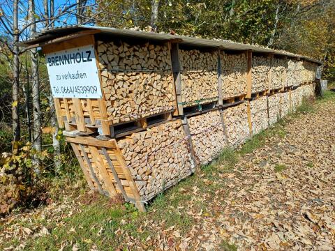 Brennholz