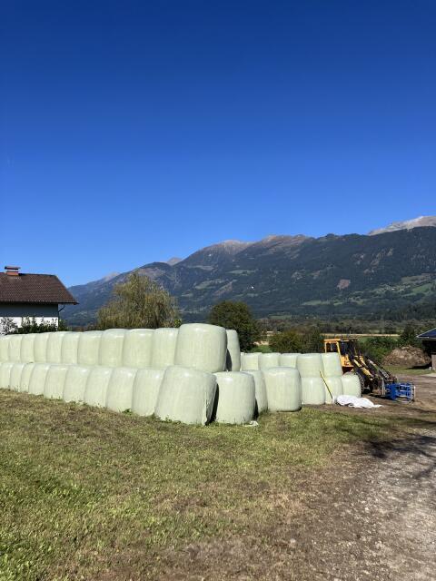 AKTION - Lagerräumung