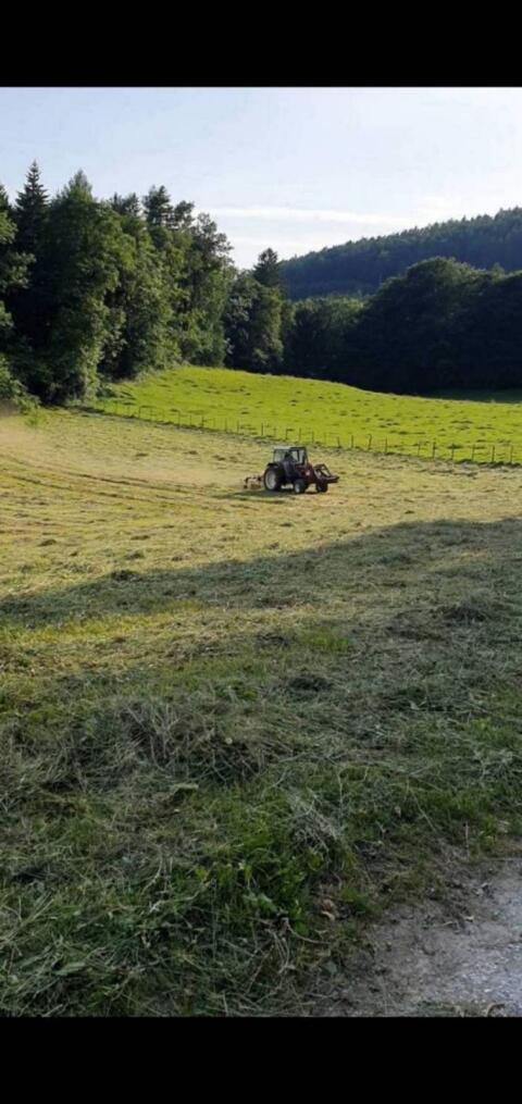 Heuballen zu verkaufen