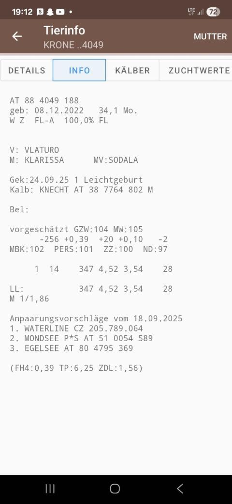 Bio Fleckviehkuh