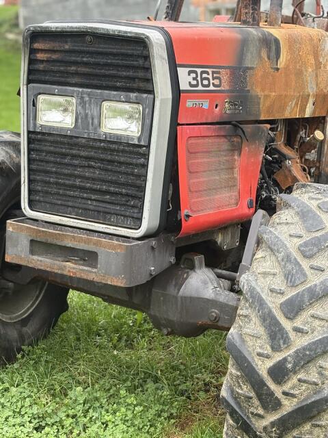 Massey Ferguson 365