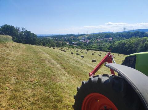 Heu in Kleinballen