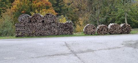 Brennholz