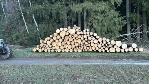 Forstarbeiten