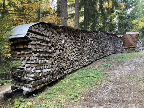 Brennholz