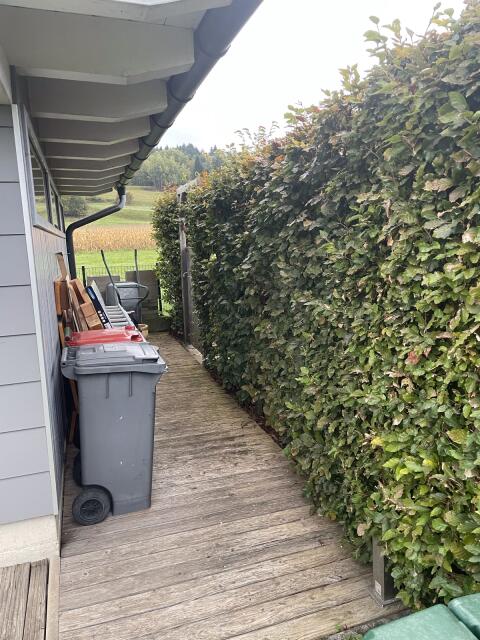 Gartenhecke