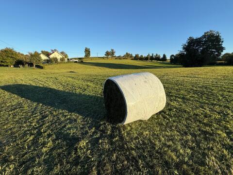 Bio Klee-Gras, Siloballen, Silage