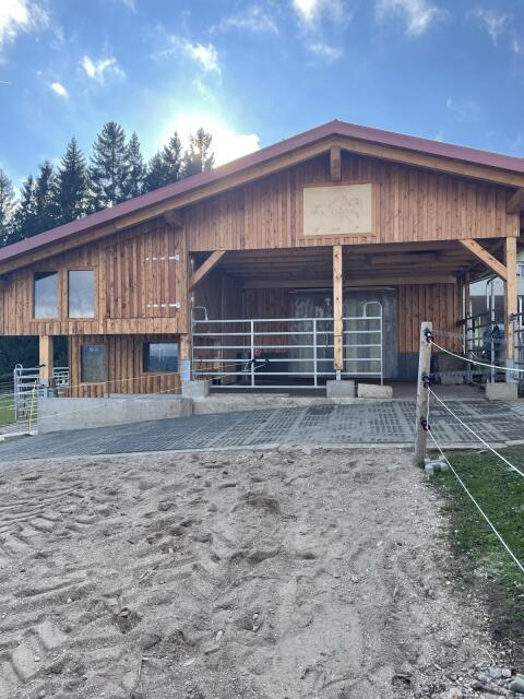 Einstellplatz im Offenstall