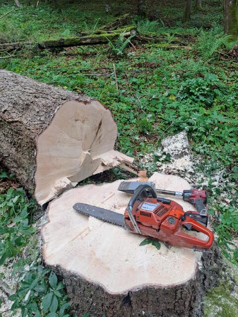 Holzschlägerung