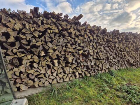 Brennholz