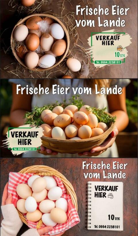Hühnereier