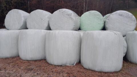 Silageballen zu verkaufen