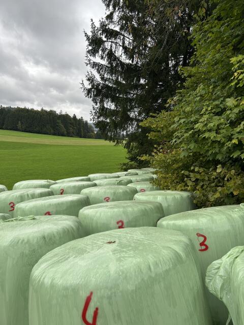 Silageballen