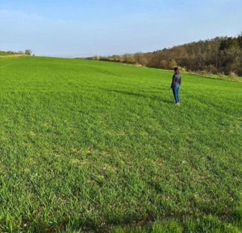 Kleine Wirtschaft mit 9,4 ha Nähe Horn